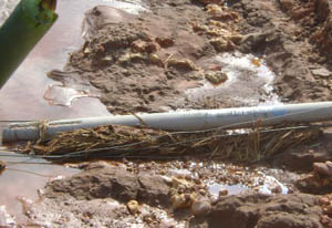 首页| 918博天堂集团中国官方网站