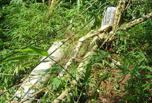 首页| 918博天堂集团中国官方网站