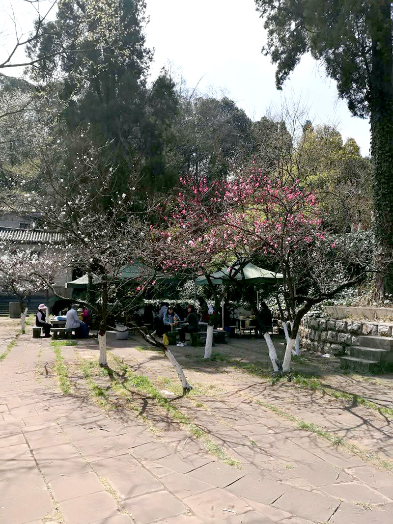 首页| 918博天堂集团中国官方网站