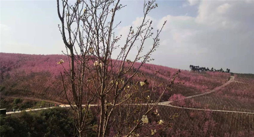 首页| 918博天堂集团中国官方网站