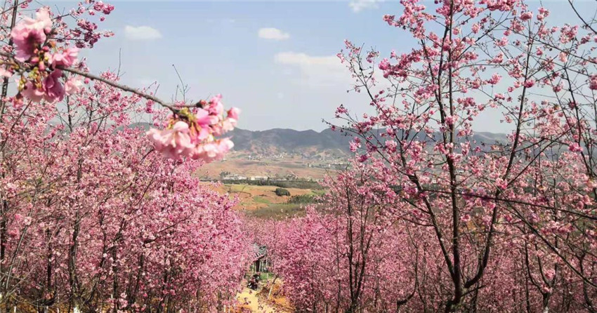 首页| 918博天堂集团中国官方网站