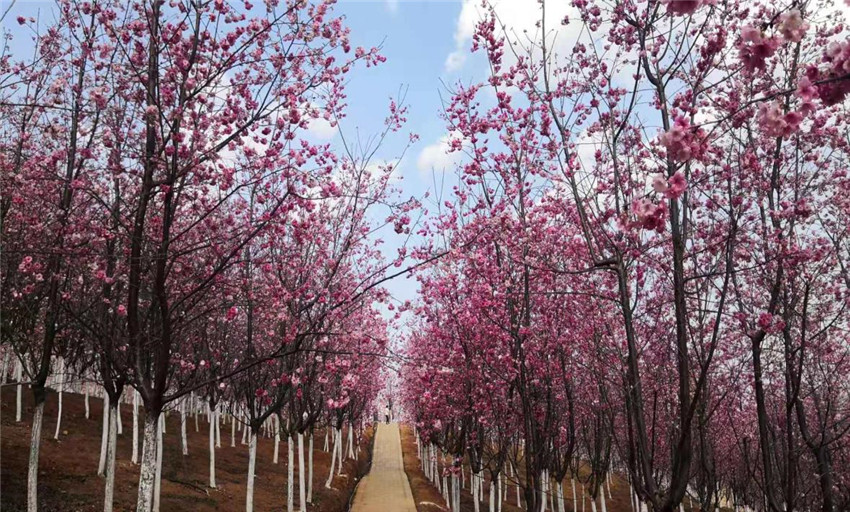 首页| 918博天堂集团中国官方网站